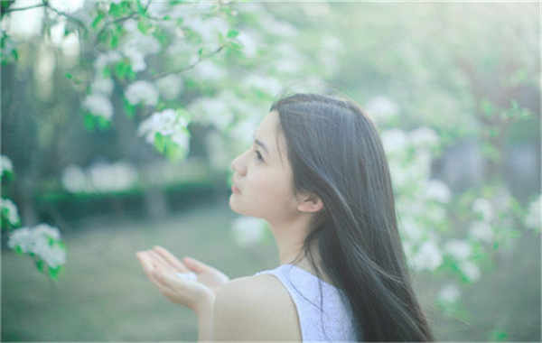 苏仙验血查男女几周可以验(验血查男女结果图)